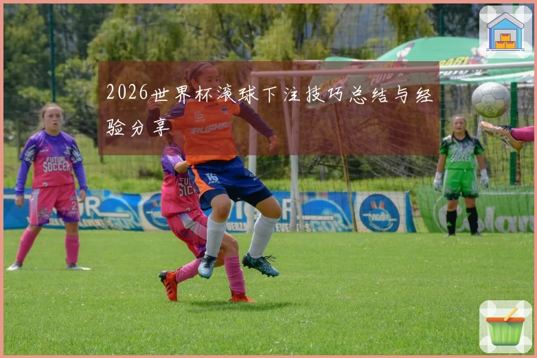 2026世界杯滚球下注技巧总结与经验分享