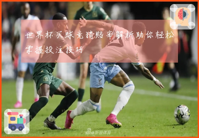 世界杯买球竞猜赔率解析助你轻松掌握投注技巧