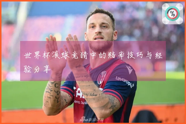 世界杯滚球竞猜中的赔率技巧与经验分享