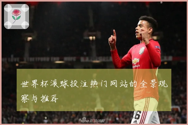 世界杯滚球投注热门网站的全景观察与推荐