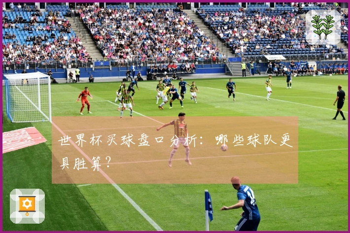 世界杯买球盘口分析：哪些球队更具胜算？