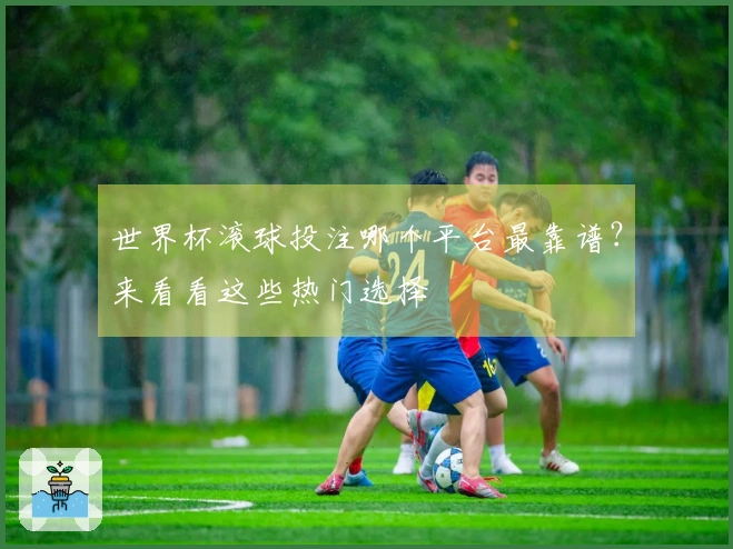 世界杯滚球投注哪个平台最靠谱？来看看这些热门选择