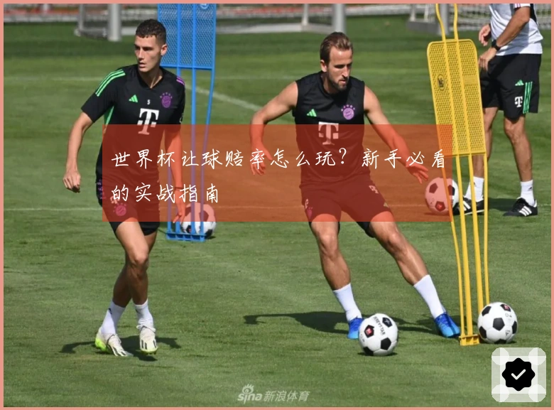 世界杯让球赔率怎么玩？新手必看的实战指南
