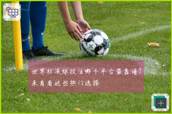 世界杯滚球投注哪个平台最靠谱？来看看这些热门选择