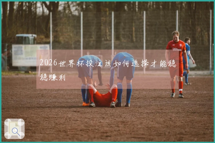 2026世界杯投注该如何选择才能稳稳赚利