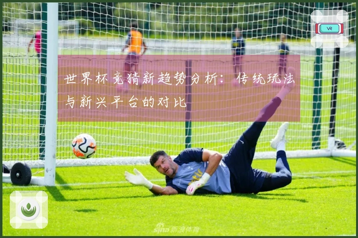 世界杯竞猜新趋势分析：传统玩法与新兴平台的对比