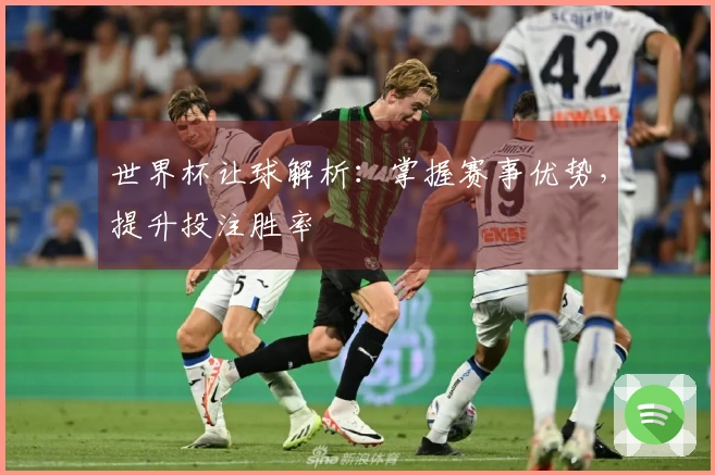 世界杯让球解析：掌握赛事优势，提升投注胜率