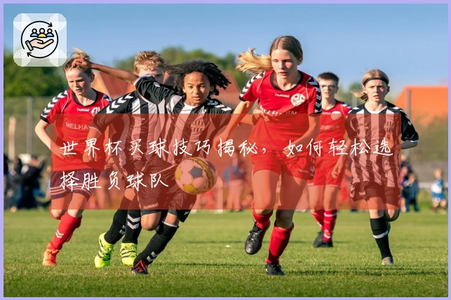 世界杯买球技巧揭秘，如何轻松选择胜负球队