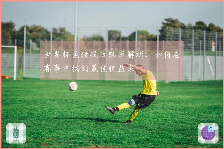 世界杯竞猜投注赔率解析：如何在赛事中找到最佳收益点