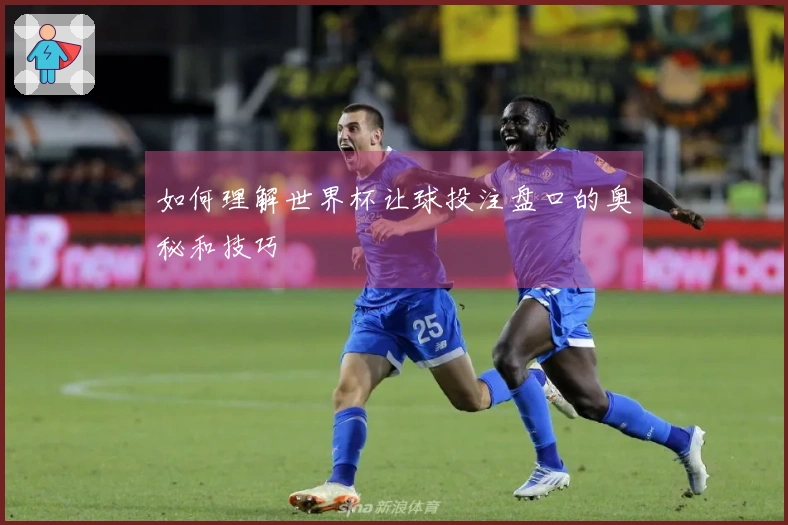 如何理解世界杯让球投注盘口的奥秘和技巧